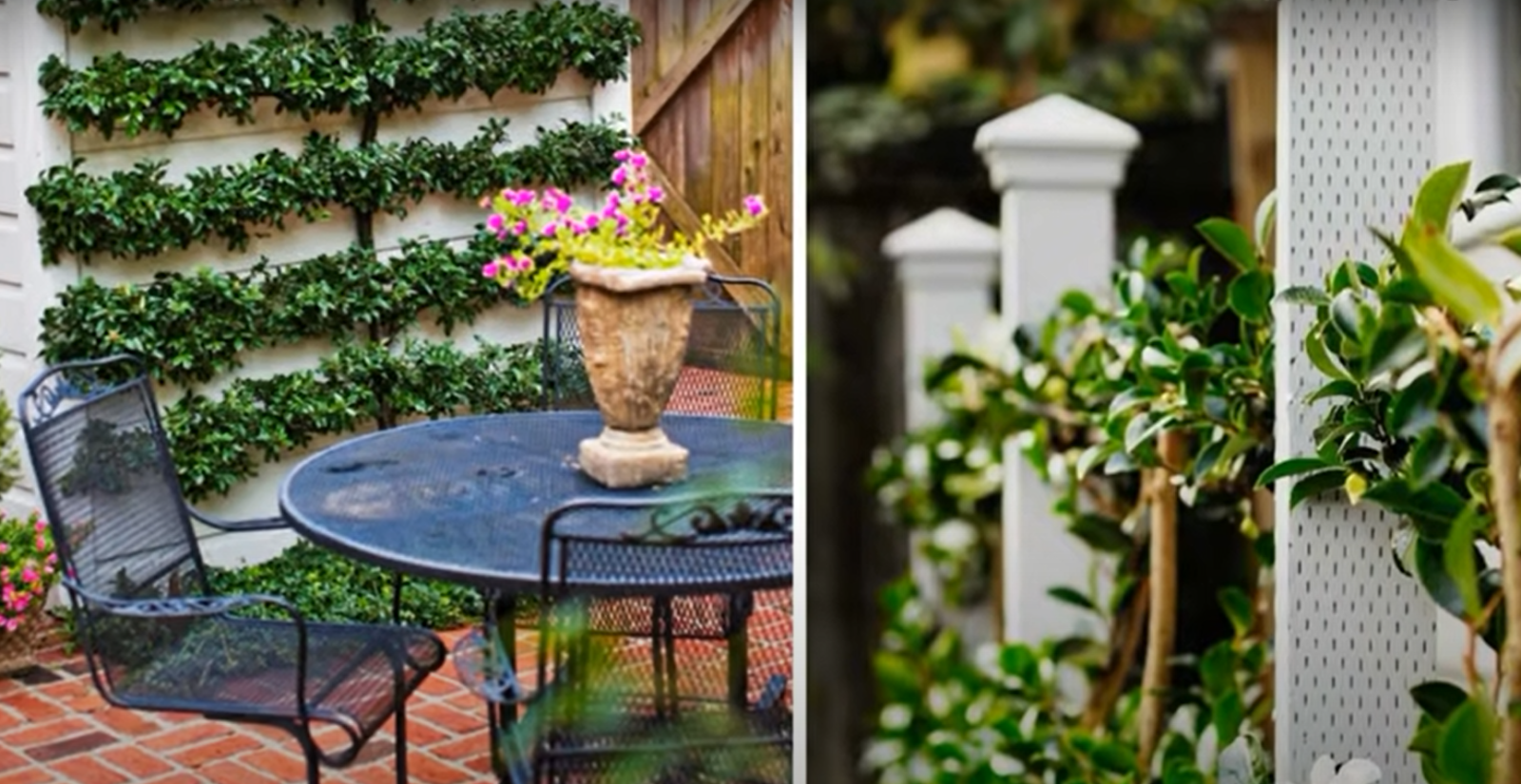 What Color Fence Paint Makes Garden Look Bigger? GardenProfy