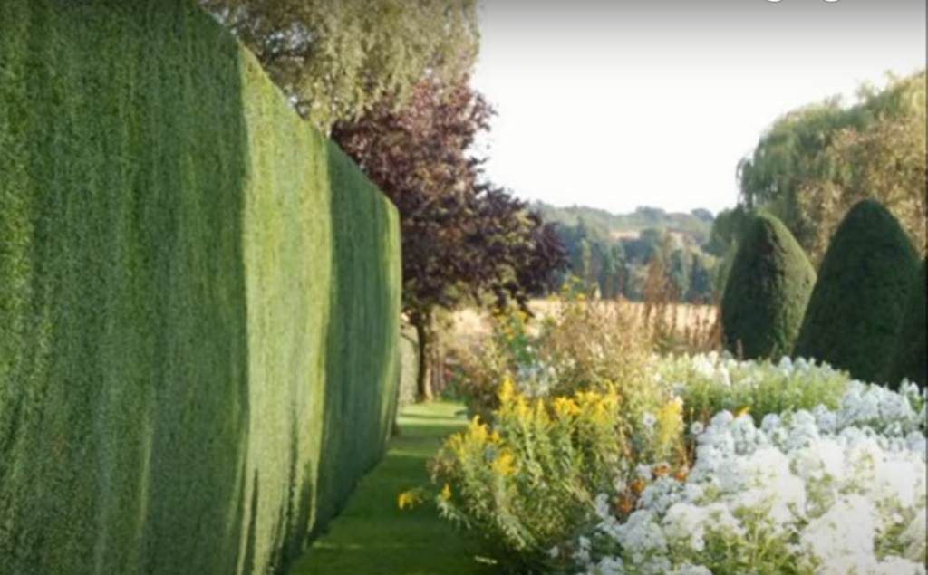 What Color Fence Paint Makes Garden Look Bigger? GardenProfy