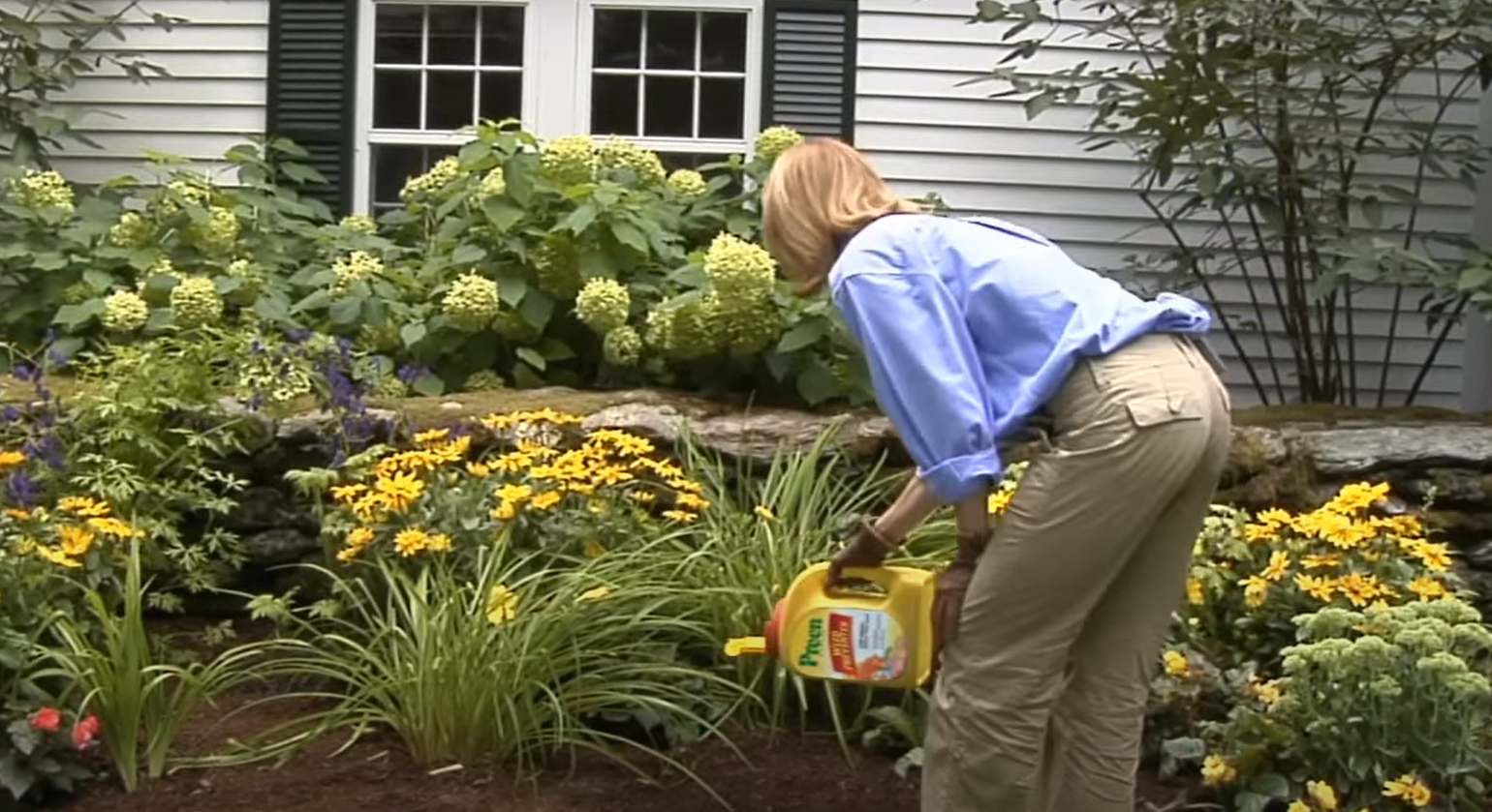 How to Use Preen in Vegetable Garden? GardenProfy