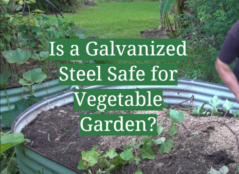 Is a Galvanized Steel Safe for Vegetable Garden? GardenProfy