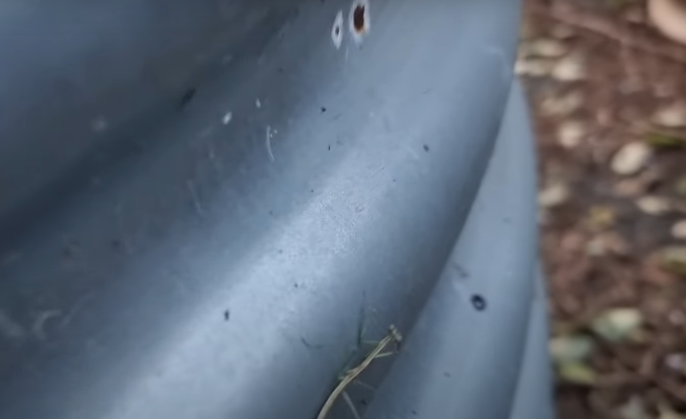 Is a Galvanized Steel Safe for Vegetable Garden? GardenProfy