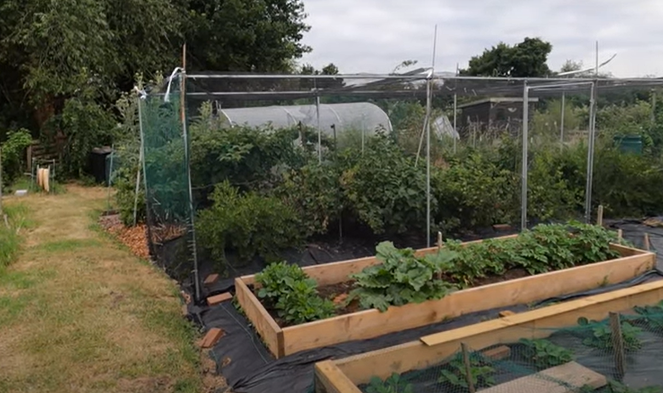 How to Build a Garden Cage? GardenProfy