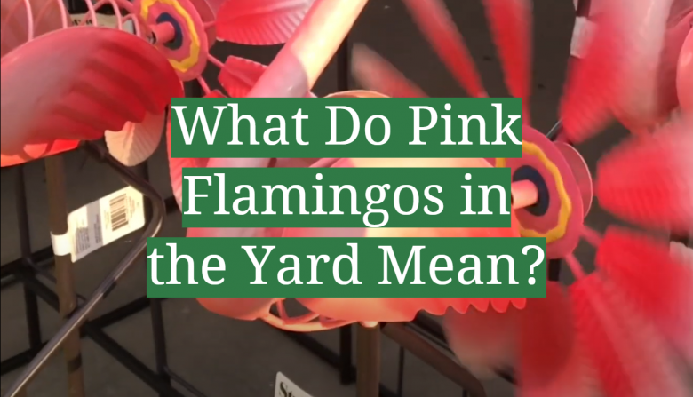 What Do Pink Flamingos in the Yard Mean? - GardenProfy