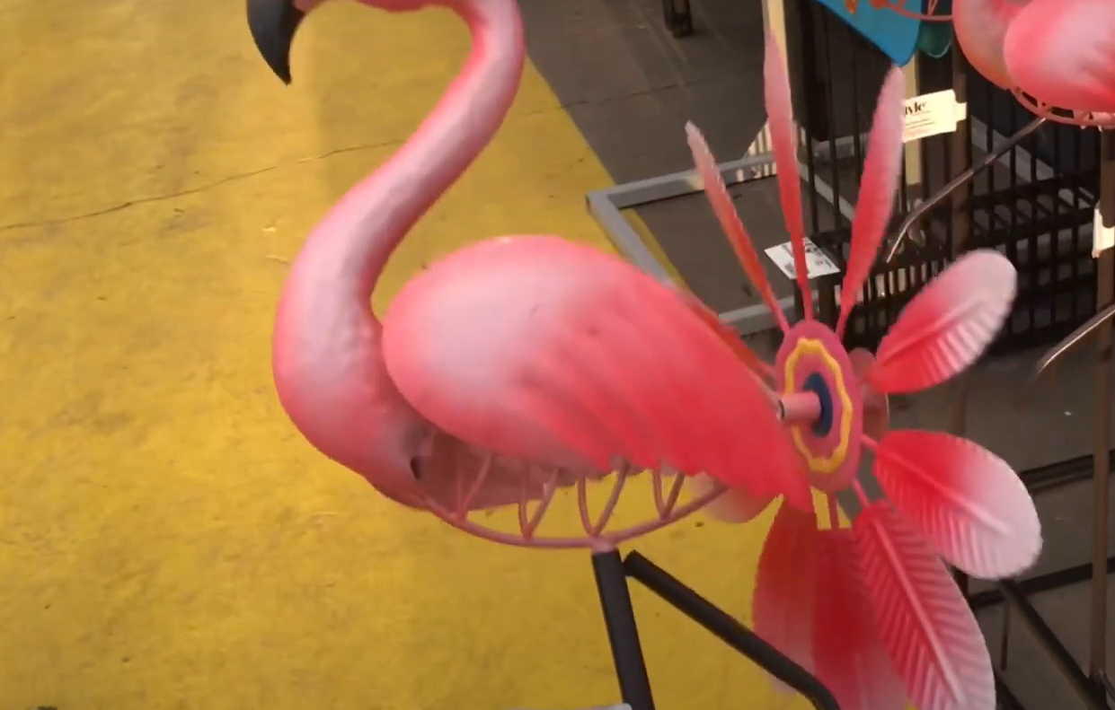 What Do Pink Flamingos in the Yard Mean? GardenProfy