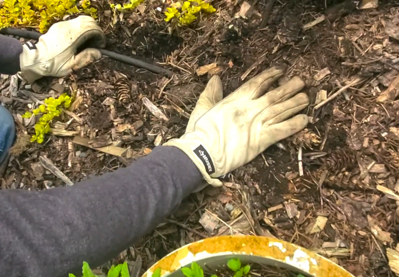 Can You Bury a Soaker Hose? GardenProfy