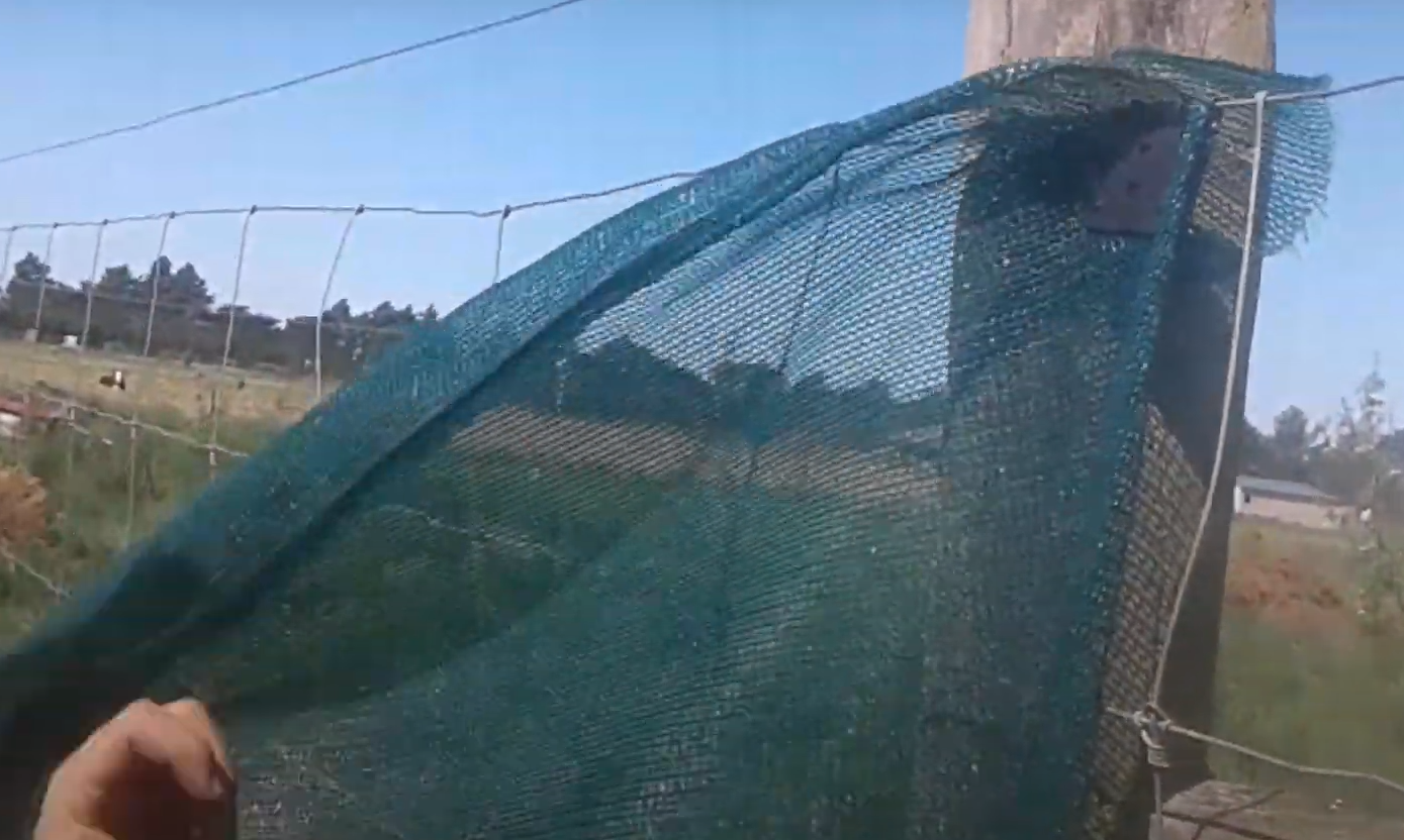 How to Block Wind in Backyard GardenProfy