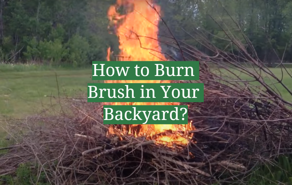 How to Burn Brush in Your Backyard? GardenProfy