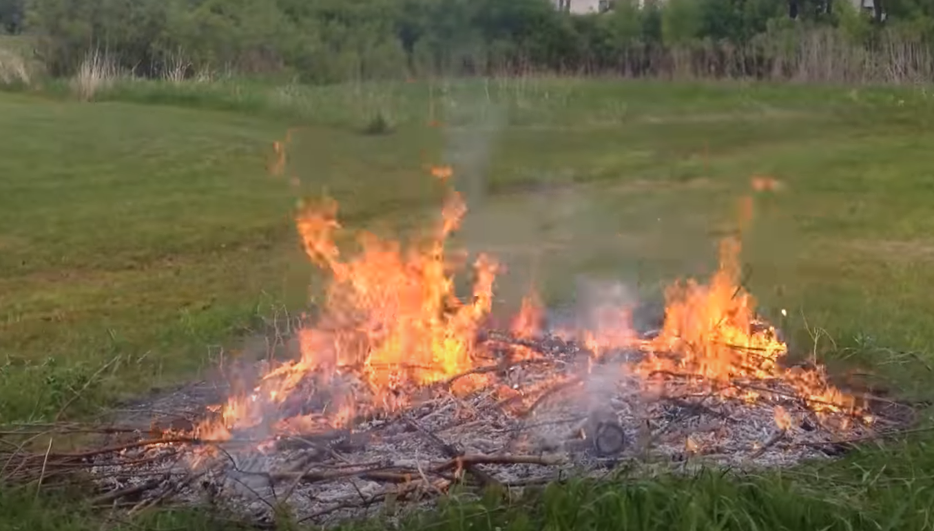 How to Burn Brush in Your Backyard? GardenProfy