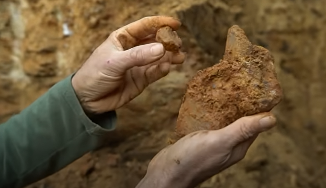 How to Find Gemstones in Your Backyard? GardenProfy