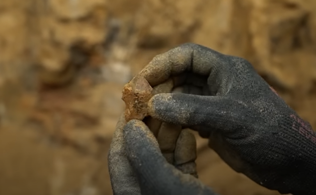 How to Find Gemstones in Your Backyard? GardenProfy