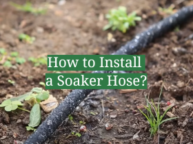 How to Install a Soaker Hose?
