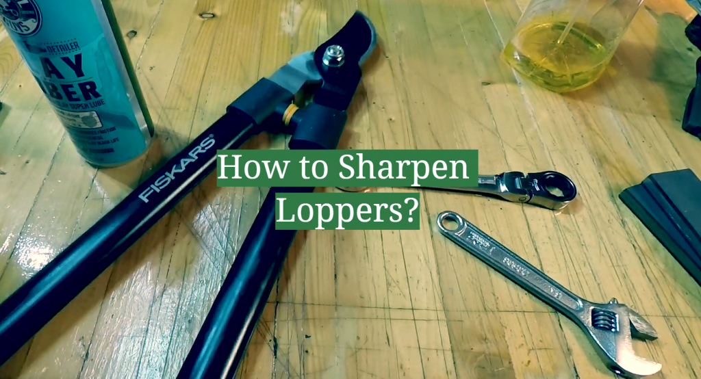 How to Sharpen Loppers? GardenProfy