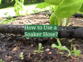 How to Use a Soaker Hose?