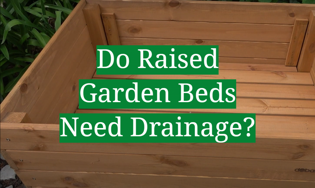 Do Raised Garden Beds Need Drainage? GardenProfy