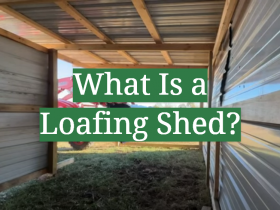 What Is a Loafing Shed?