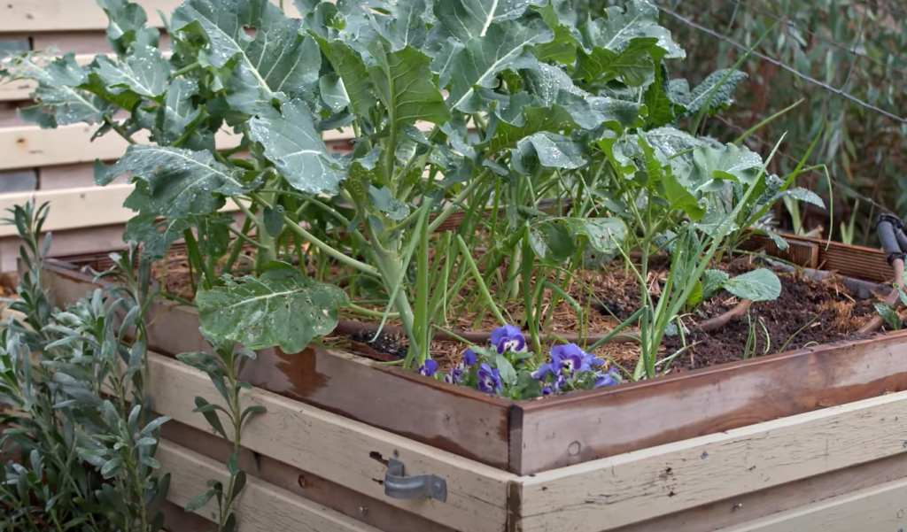 Cosy seating areas among the planters